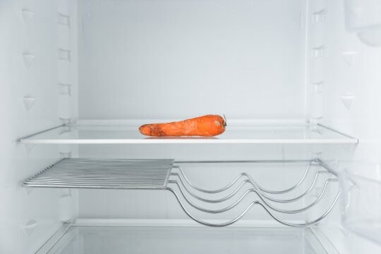 Empty fridge with spoiled carrot