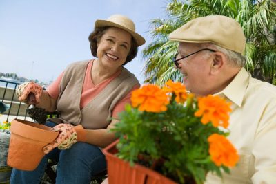 Gardens Help Seniors Thrive in Every Season