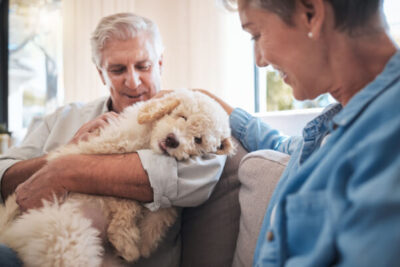 The Best Dog Breeds for Seniors in Independent Living